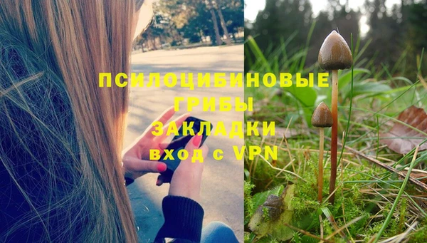 героин Алексин