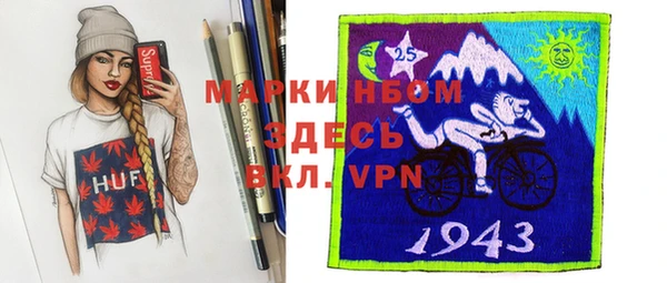 хмурый Алзамай